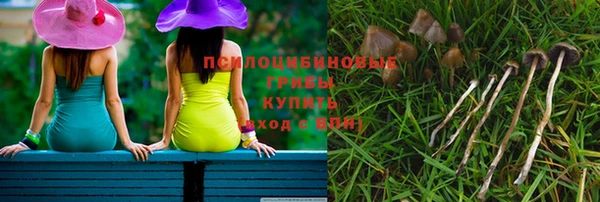 гашик Яровое
